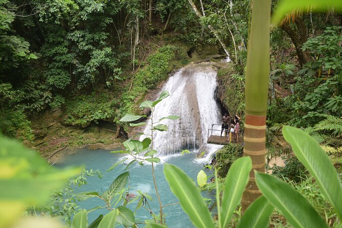 Horse Back Riding and Blue Hole From Montego Bay - Is $160 a fair price?
