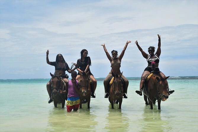 Horse Back Riding and Blue Hole From Montego Bay - Horseback riding to the beach and into the water