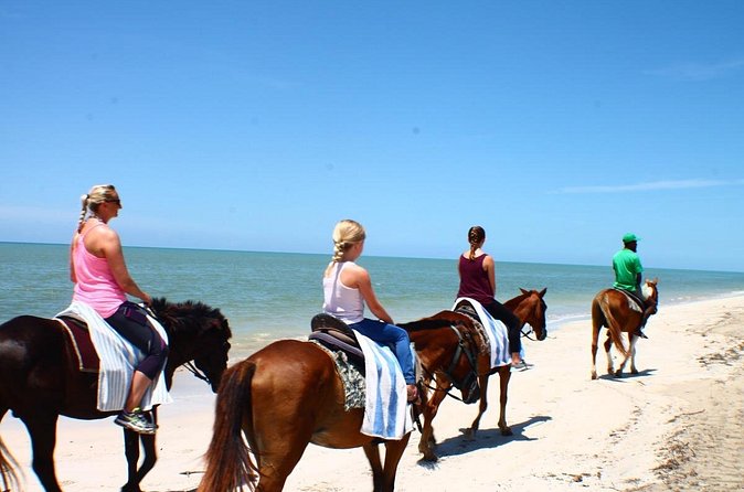 Horse Back riding Excursion - Why the small group matters