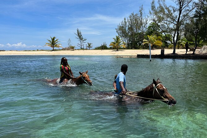 Horseback Ride and Swim Guided Tour from Montego Bay - From the private beach to Jamaican farmland