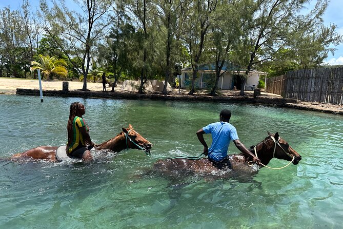 Horseback Ride and Swim Guided Tour from Montego Bay - The Caribbean Sea horse swim