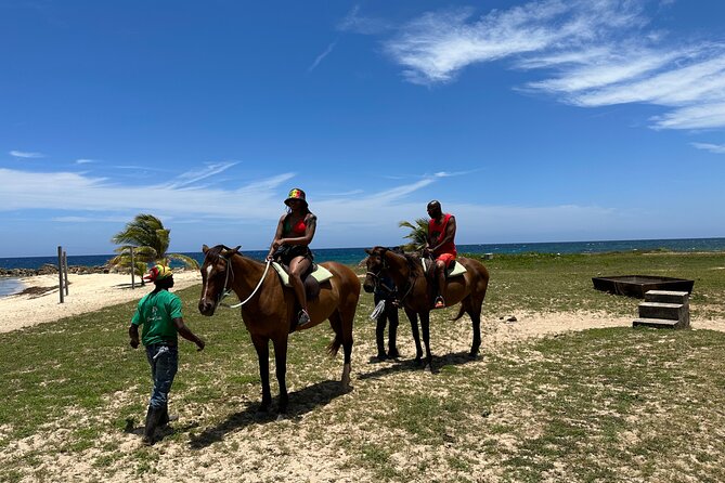 Horseback Ride and Swim Guided Tour from Montego Bay - What the private booking changes