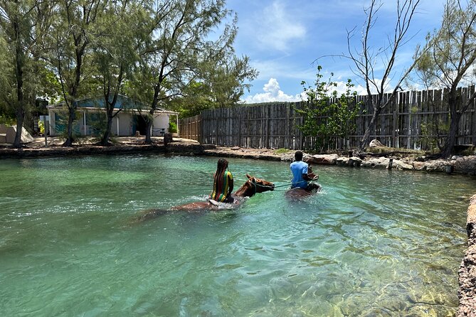 Horseback Ride and Swim Guided Tour from Montego Bay - Is $160 a fair price?