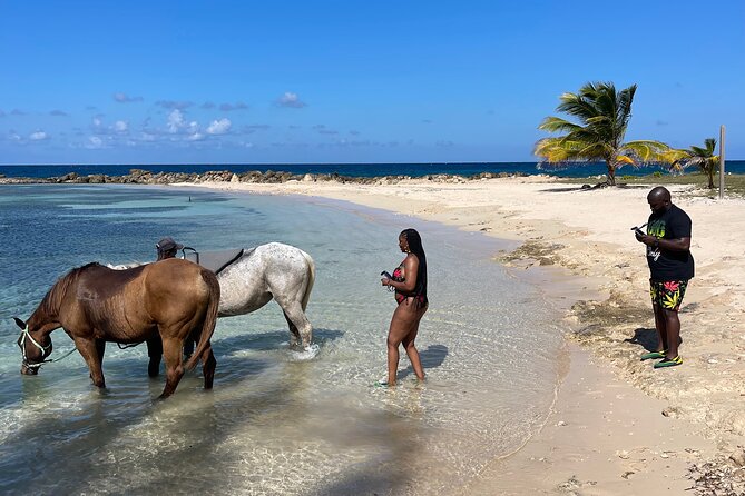 Horseback Ride and Swim Guided Tour from Montego Bay - Should you book this Montego Bay horse swim?