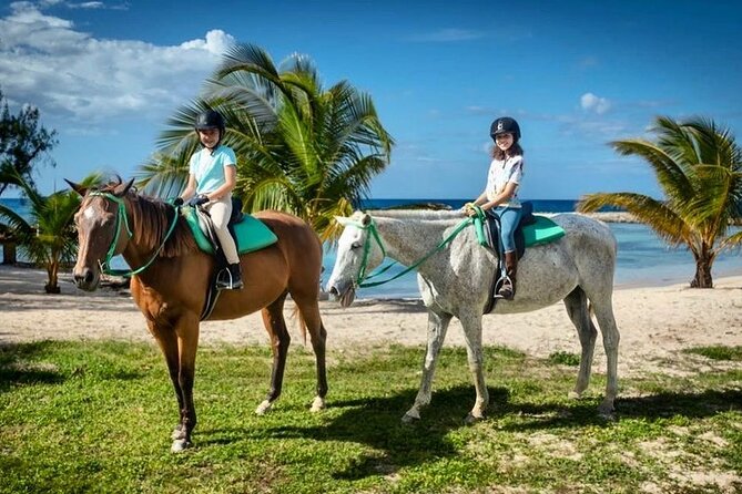 Horseback Ride and Swim Jamaica - Entering the Caribbean Sea on horseback