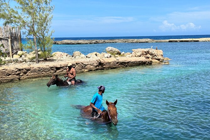 Horseback Ride and Swim Tour In Montego Bay - Who should book this Montego Bay tour?