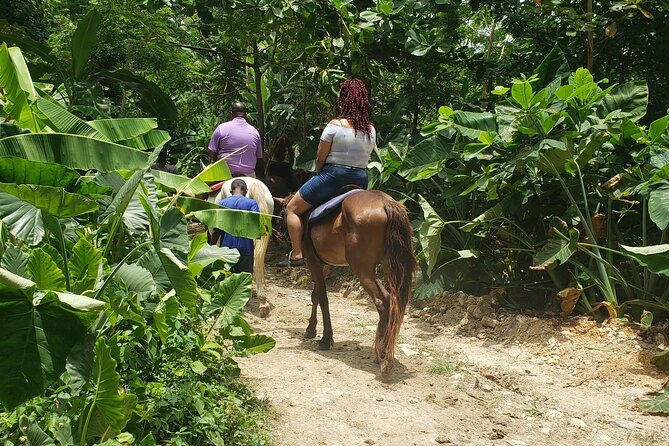 Horseback 'Ride N Swim' & Dunns River Falls from Montego Bay - Horseback riding from forest trails into the sea