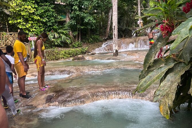 Horseback 'Ride N Swim' & Dunns River Falls from Montego Bay - Booking, timing, and cancellation details