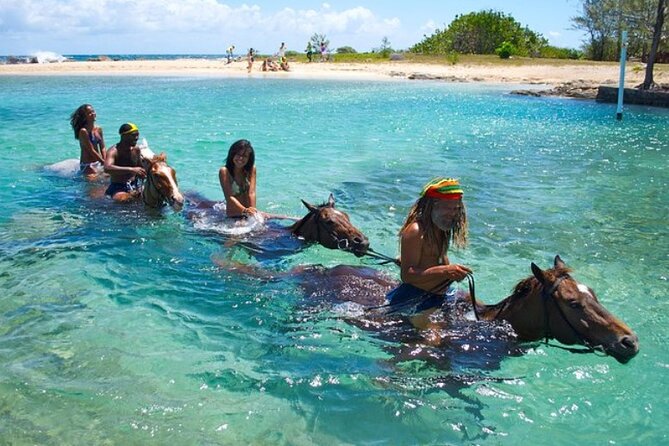 Horseback Ride & Swim Jamaica/Montego Bay - From Montego Bay to the St. Ann Stables