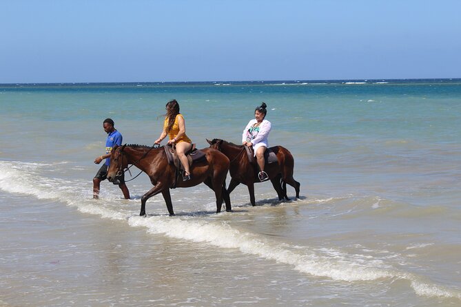 Horseback Ride & Swim Jamaica/Montego Bay - Who Will Enjoy This Most