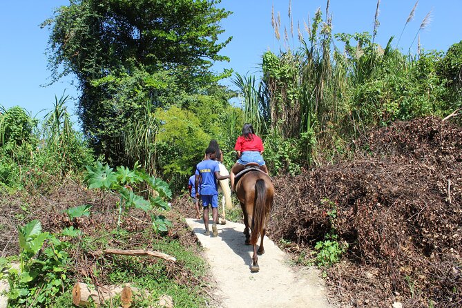 Horseback Ride & Swim Jamaica/Montego Bay - Timing, Weather, and Cancellation Details