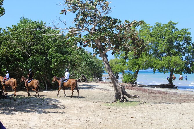 Horseback Ride & Swim Jamaica/Montego Bay - My Recommendation: Book It After One Important Question