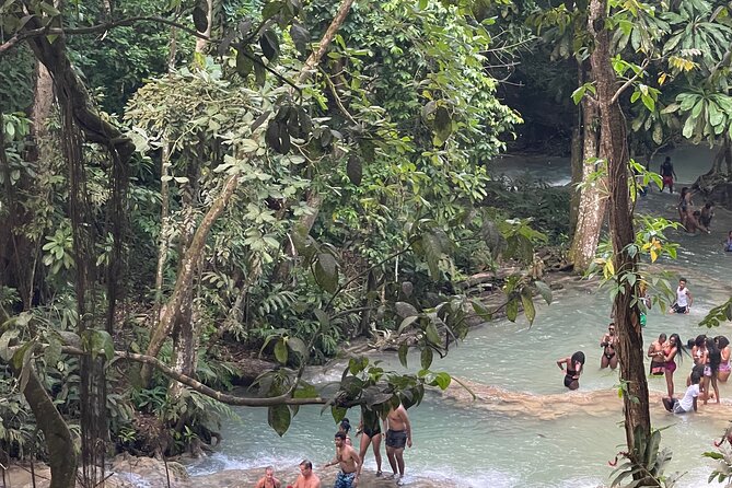Horseback Riding and Swimming then Dunn's River Falls - Drivers make the long road worthwhile