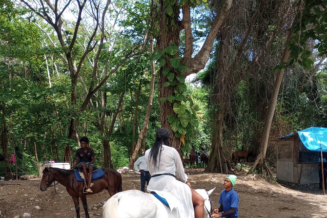 Horseback riding, Blue hole or Dunn's River Combo - A four to five hour outing from Ocho Rios