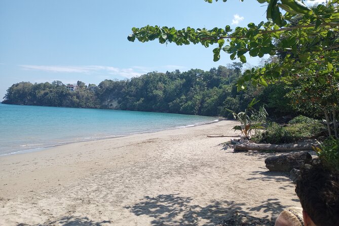 Horseback riding, Blue hole or Dunn's River Combo - The Marcus Garvey connection