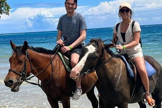 Horseback Riding, Bluehole Secret Falls, Dunns River tour from Montego Bay - Your driver is part guide, part local host
