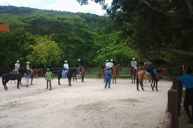 Horseback Riding Dunn's River Falls Adventure from Montego Bay - A small group, with a limit of 15