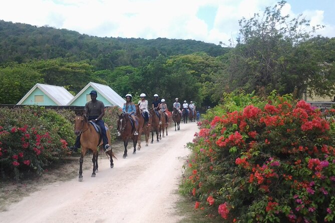 Horseback Riding Dunn's River Falls Adventure from Montego Bay - Who will enjoy this day most