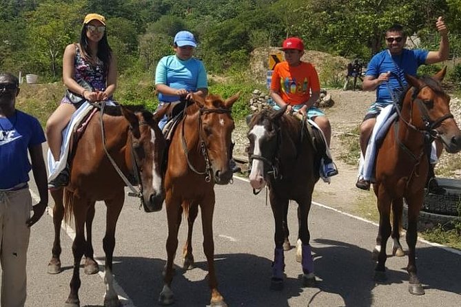 Horseback Riding from Montego Bay - What the riding time is really like