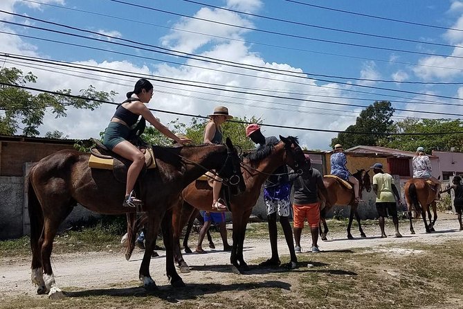 Horseback Riding from Montego Bay - The swim with your horse
