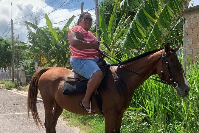 Horseback Riding from Montego Bay - Who will enjoy this most