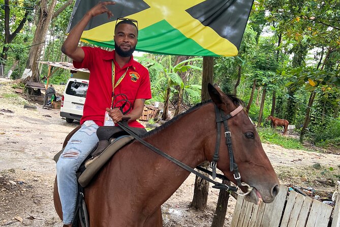 Horseback Riding In The Ocean from Montego Bay Private Transfer - From Montego Bay to St Ann’s Bay by private car