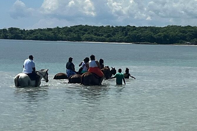 Horseback Riding in the Ocean from Ocho Rios & Runaway Bay - From Saint Ann’s Bay to the riding site