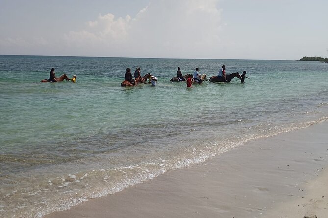 Horseback Riding plus Dunns River Falls Combo Private Tour - How the day is likely to feel