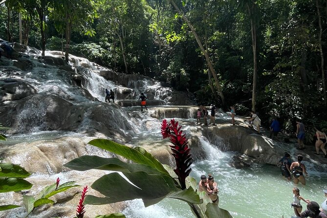 Horseback Riding/Swimming and Dunn's River from Ocho Rios - Pickup, timing, and cruise-port details