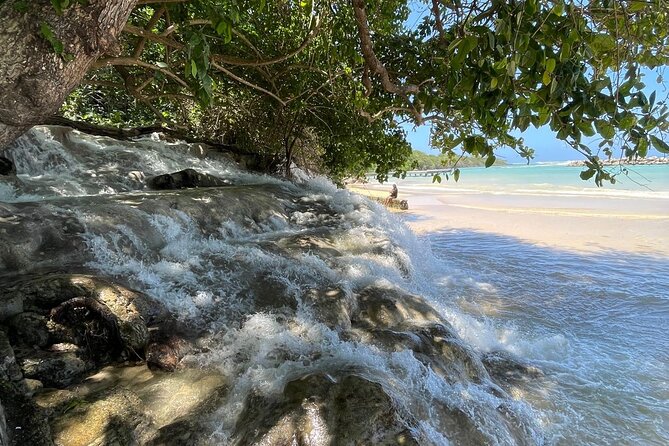 Horseback Riding/Swimming and Dunn's River from Ocho Rios - Who should book this half-day adventure
