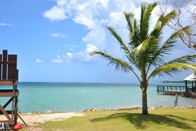 Horseback Riding/Zipline Combo Tour at Chukka Ocean Outpost with Transportation - Arriving from Montego Bay with private transport
