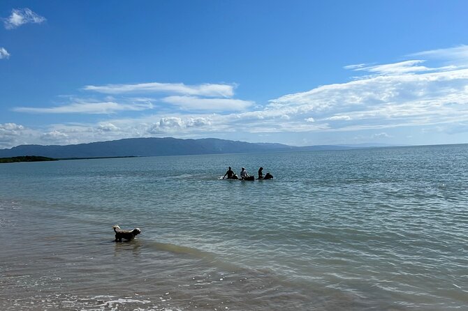 Horseback “SPECIAL”- Negril’s Beach Ride N’ Swim with Free photos/videos - Pickup from Negril hotels and the timing problem