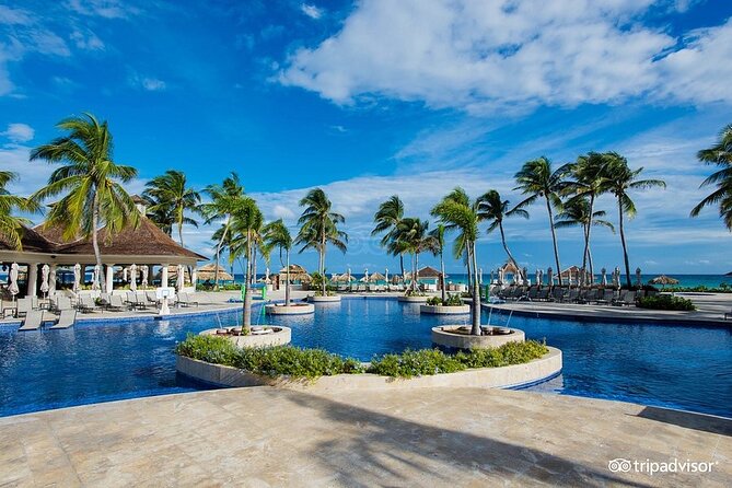 Hyatt Zilara Rose Hall Resort Private Airport Transfer - Who will find this transfer useful?