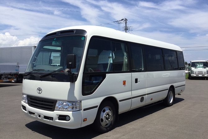 Iberostar Rose Hall Montego Bay Airport Transfer - Finding the representative after landing
