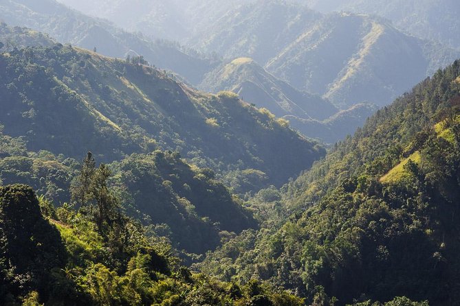 Jamaica Blue Mountain Guided Nature Tour - Key points to know before booking