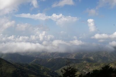 Jamaica Blue Mountain Guided Nature Tour