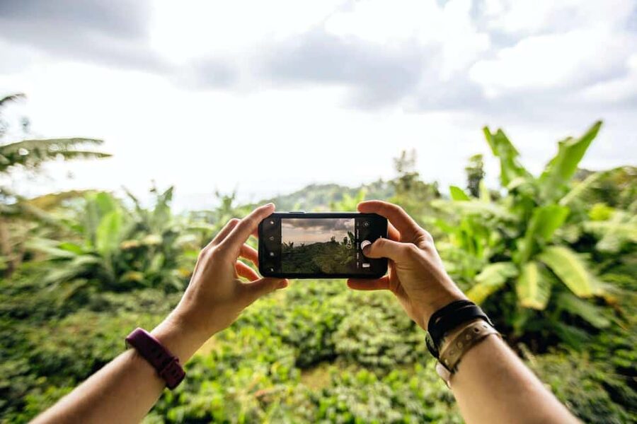 Jamaica: Blue Mountains Full Day Tour with Brunch & Lunch - Seeing coffee plants on a small mountain farm