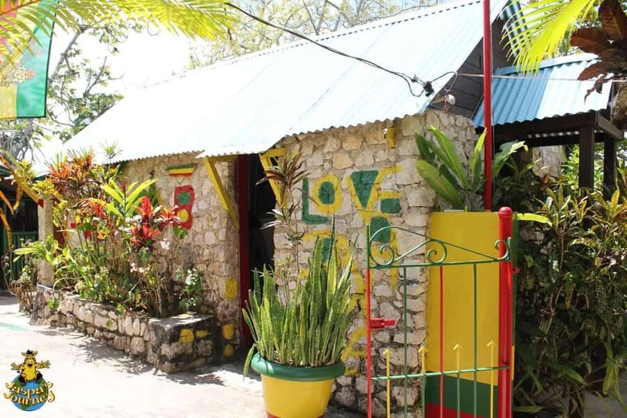 Jamaica: Bob Marley, Dunn's River Falls and Luminous Lagoon - Key points to know before you book