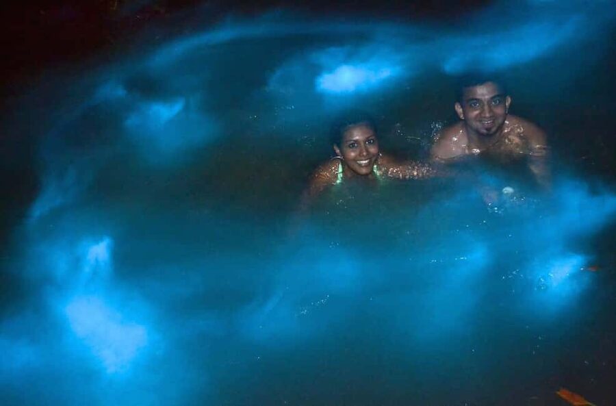 Jamaica: Bob Marley, Dunn's River Falls and Luminous Lagoon - Why this three-stop Jamaica tour works