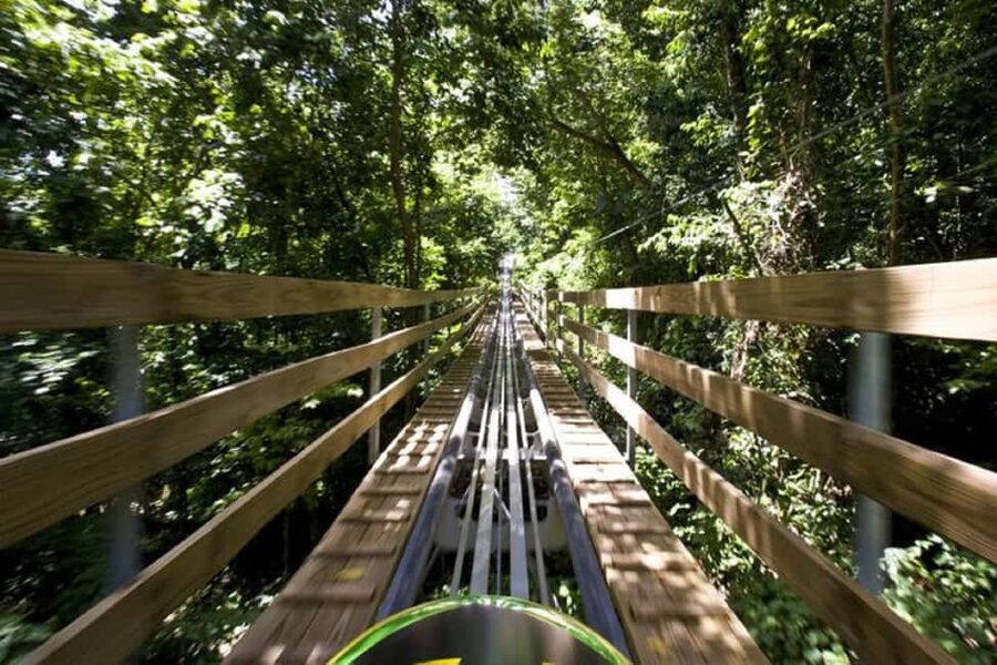 Jamaica Bobsled and Zip Line Adventure Tour - Key points to know before booking