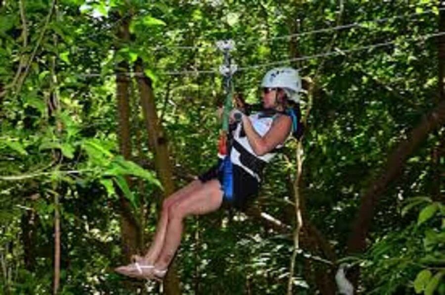 Jamaica Bobsled and Zip Line Adventure Tour - Riding the Sky Explorer above the trees