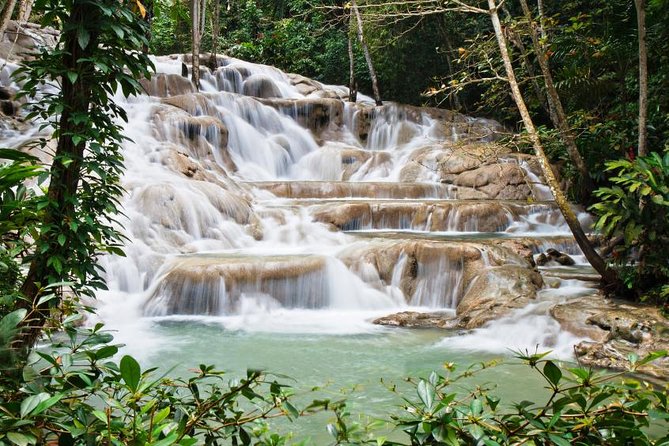 Jamaica Combo Tour: Dunn's River Falls and Bob Marley’s Nine Mile - Adding the Luminous Lagoon after dark