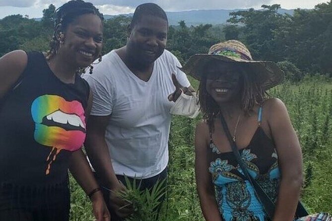 Jamaica Farm Private Dispensary Tour Montego Bay - From the Hip Strip to the hills above Montego Bay