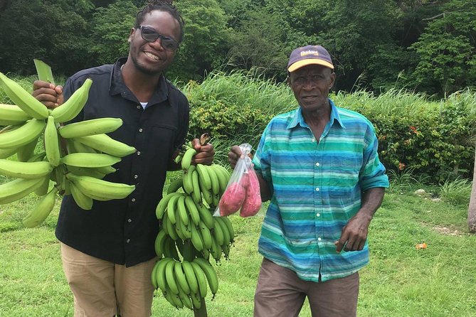 Jamaica Foodie and Cultural Experience & Konoko Falls Ocho Rios - Two hours at Konoko Falls and Park