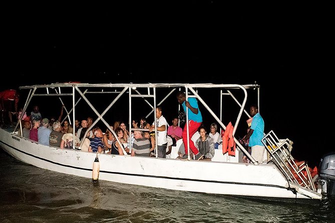 Jamaica Super Saver: Montego Bay & Rose Hall plus Mystic Lagoon Night Cruise - The glowing water at Luminous Lagoon