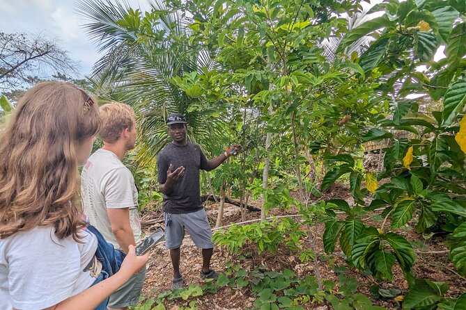 Jamaican Roots Tropical Farm Tour - Taste & Explore (Negril) 2hr - A small farm with a big taste of Jamaica