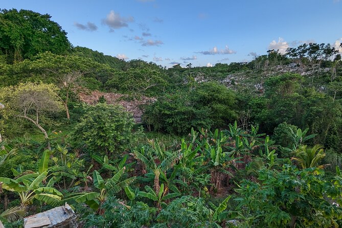 Jamaican Roots Tropical Farm Tour - Taste & Explore (Negril) 2hr - The smoothie and fruit plate are part of the value