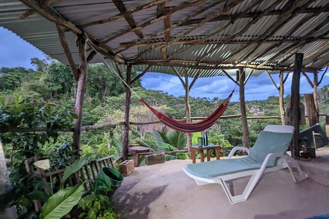 Jamaican Roots Tropical Farm Tour - Taste & Explore (Negril) 2hr - Who will enjoy Jamaican Roots most