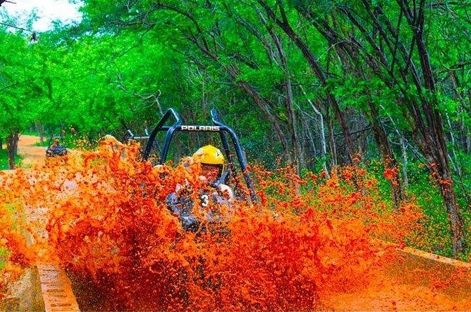 Jamwest ATV Off-Road Adventure & Zipline Combo in Negril - Trading four wheels for a forest zipline