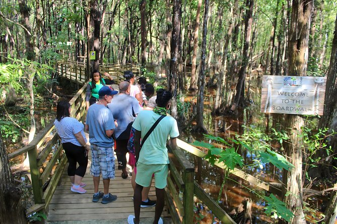 Jamwest Off-Road ATV Adventure & JamCulture Tour Combo in Negril - Wetlands and mangroves bring variety to the ride